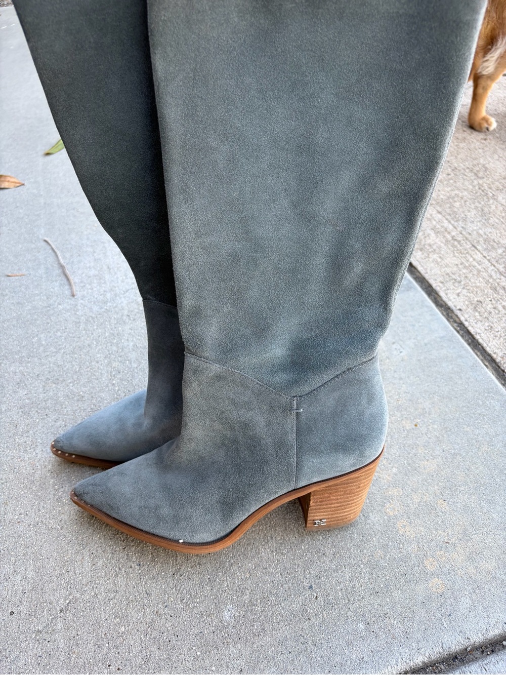 Sam Edelman Blue Grey Suede Pointed Toe Mid-Calf Heeled Boots